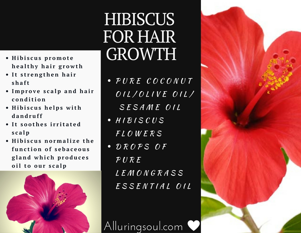 HIBISCUS FOR HAIR GROWTH Alluring Soul hibiscus-for-hair-growth-alluring-soul