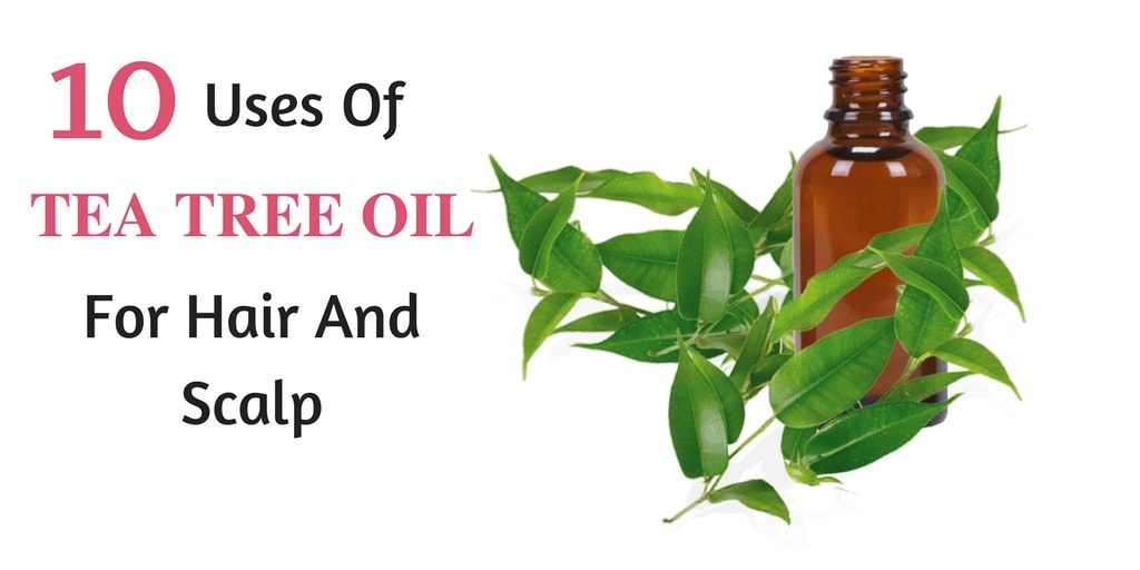 Tea Tree Oil For Hair | Alluring Soul
