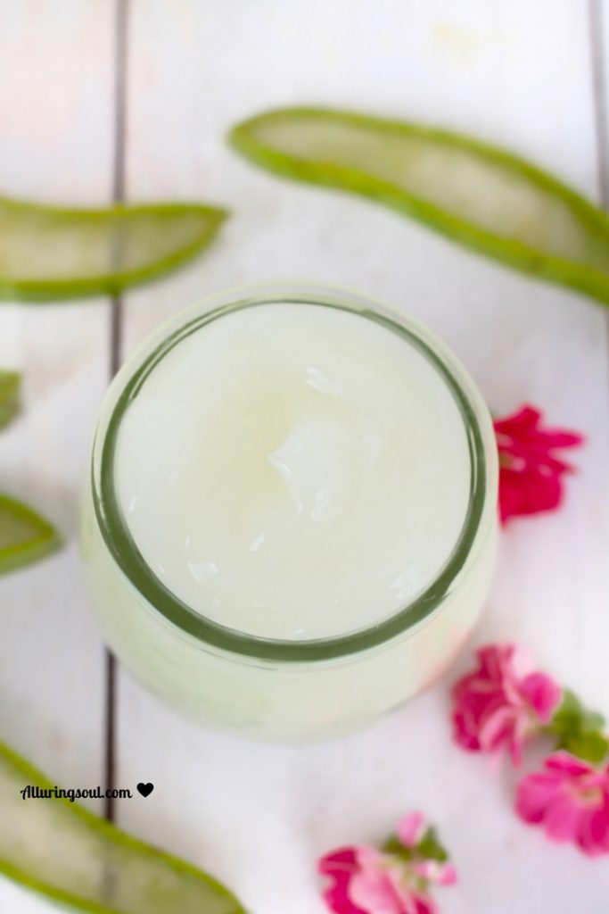 Diy Aloe Vera Face Moisturizer For Oily Skin