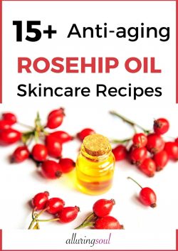 15+ Anti Aging Rosehip Oil Skincare Recipes